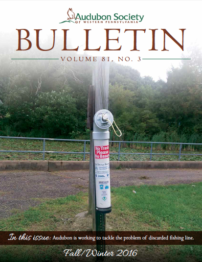Fall 2016 bulletin cover