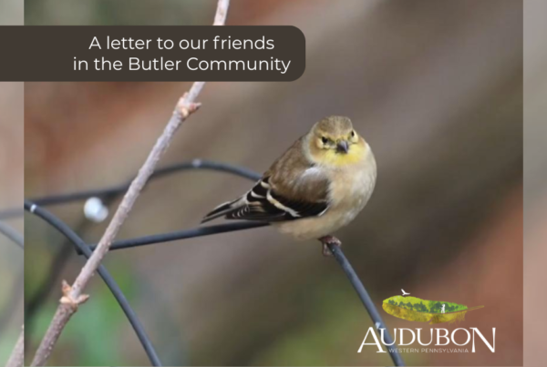 ""